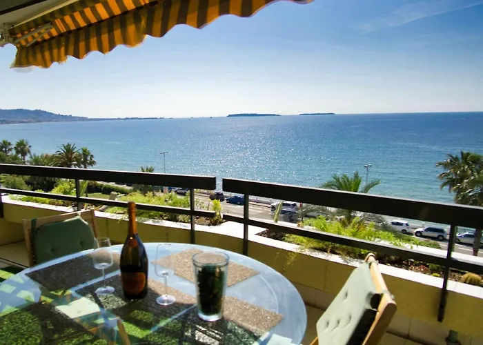 Ref Egee - Palmes D'or *